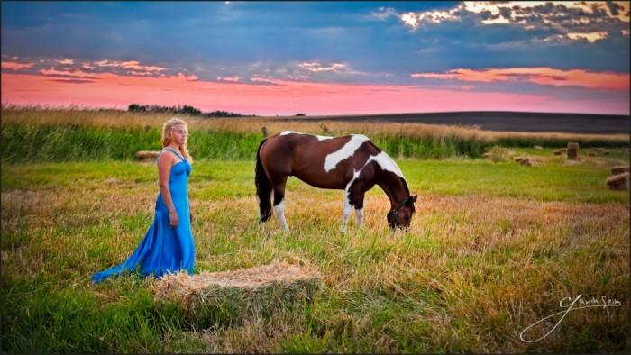 Heidekraut Sonnenuntergang HDR portrait - seim heathers sunset HDR portrait seim 700x394 Workshop Raise the Bar