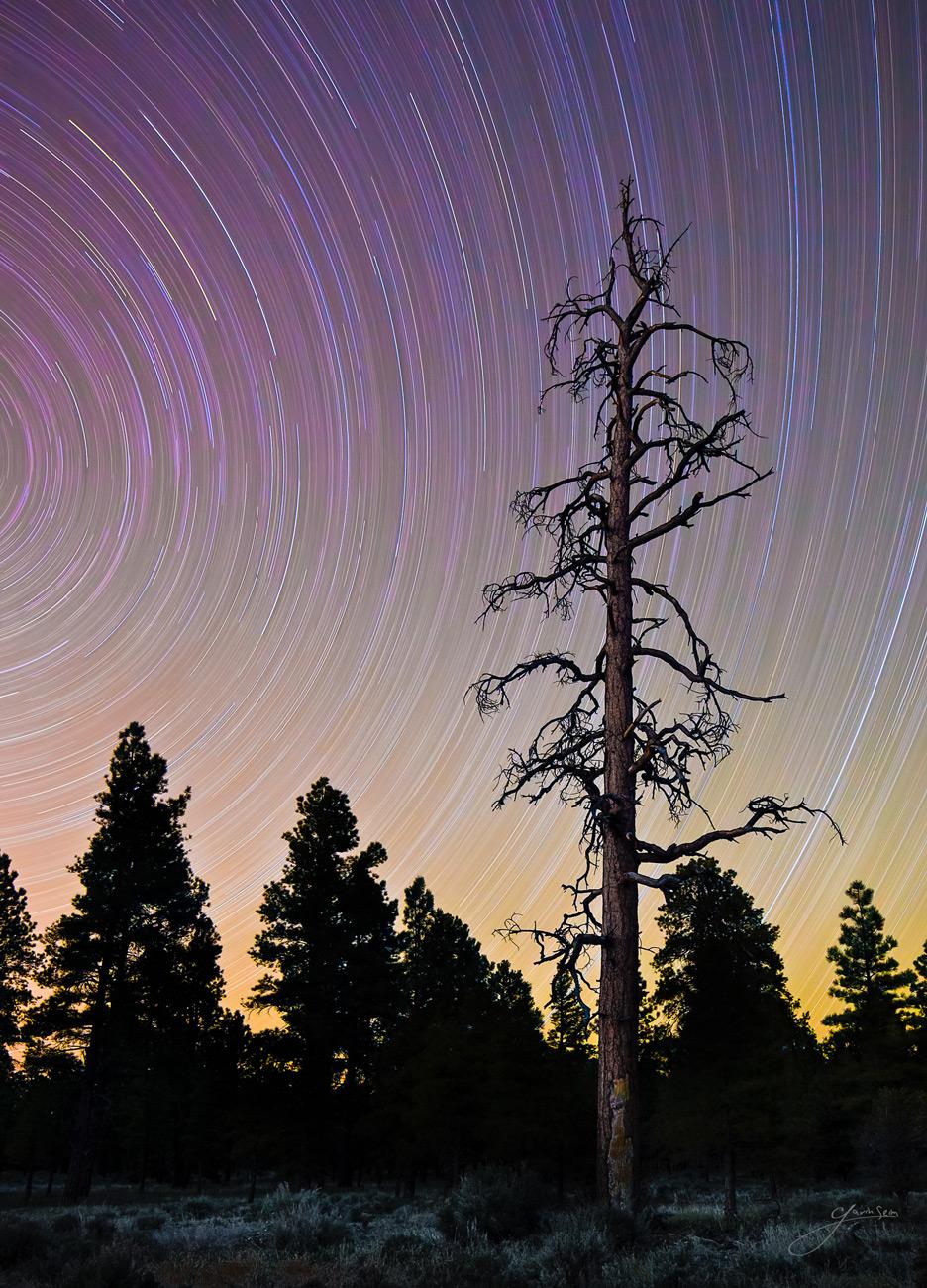 star trail photography - Grand canyons 140 minute exposure