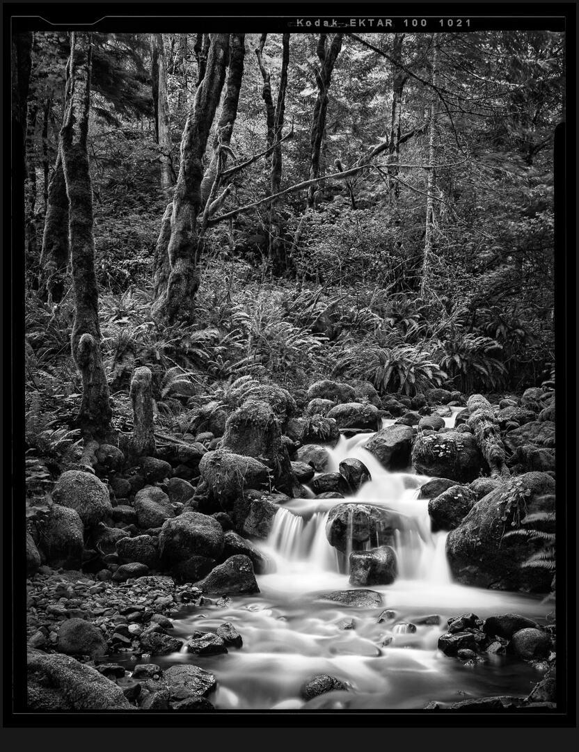 oregon waterfall black and white