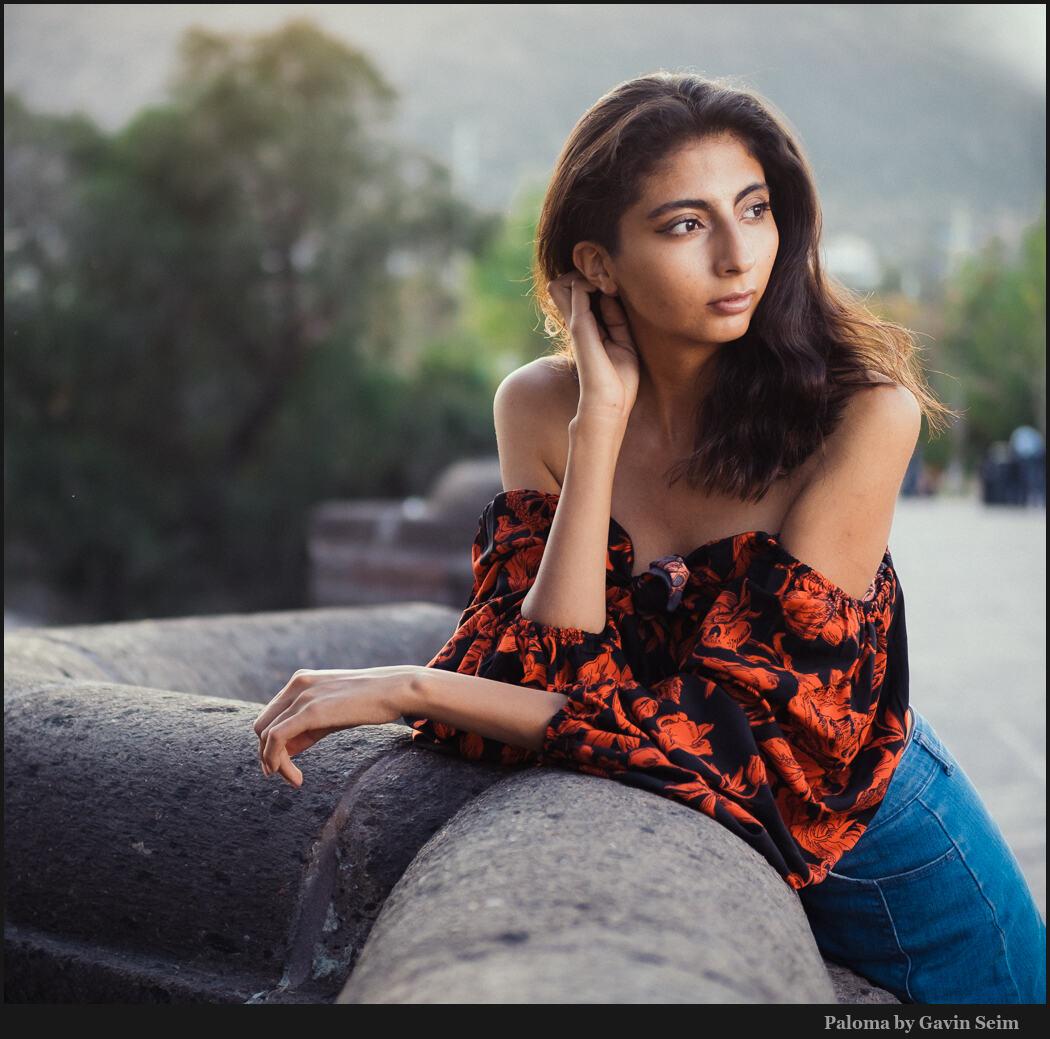 paloma