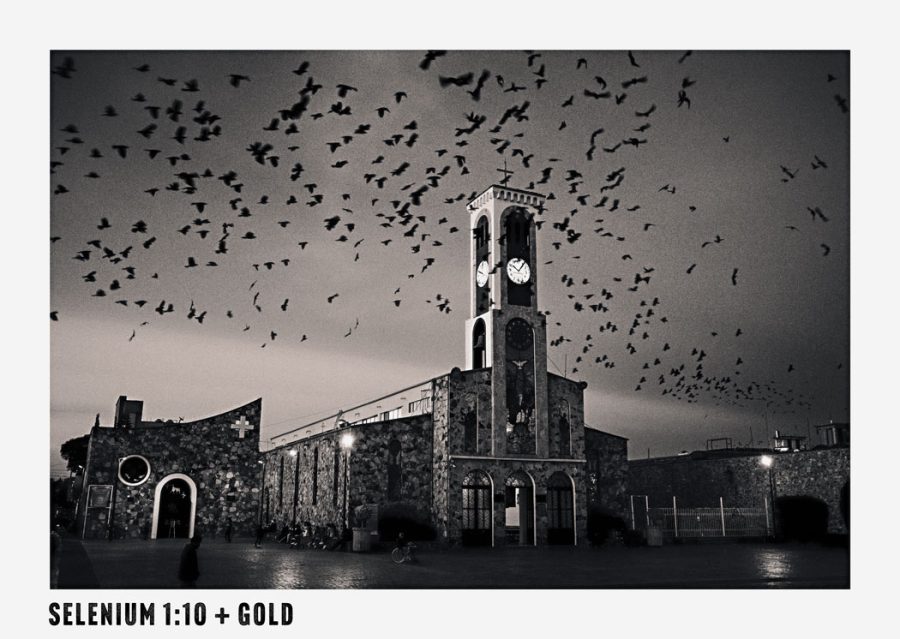 Selenium-Bath-action-photoshop-gold-process