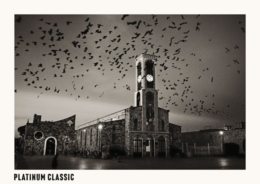 platinum-classic-action