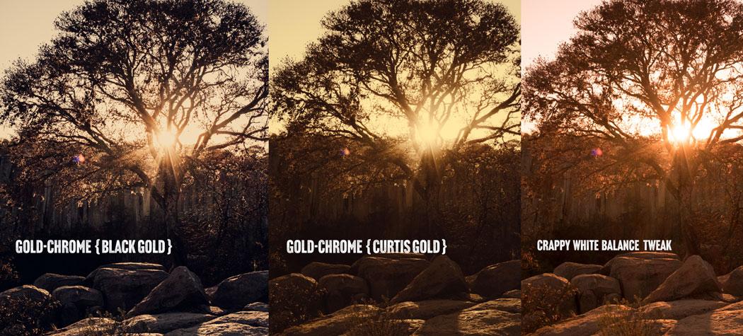 gold-tone-without-white-balance-presets-compare