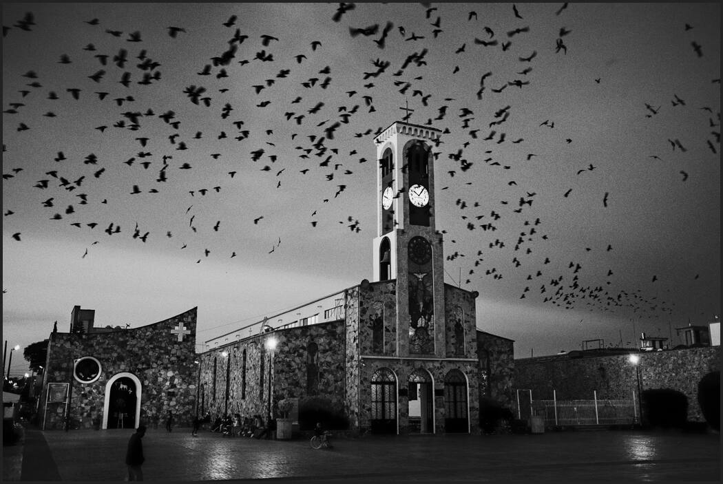 Black and White or Lightroom? Best way to edit B&W!